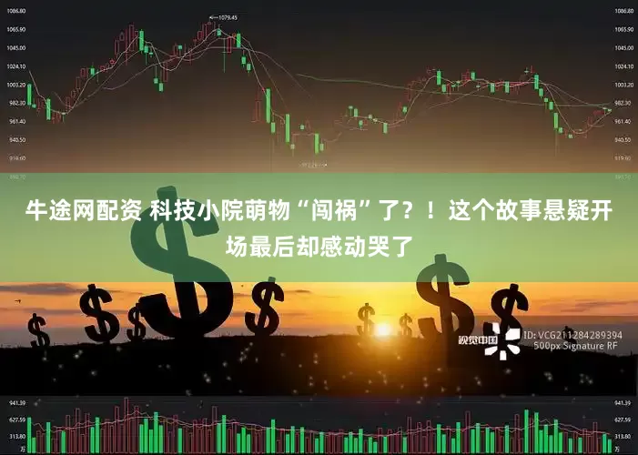 牛途网配资 科技小院萌物“闯祸”了？！这个故事悬疑开场最后却感动哭了